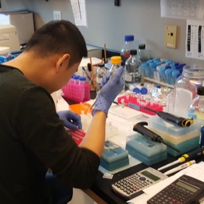 davidwongce's profile picture. #zebrafish lover#✂️🧬 🐠 💚🧠|...