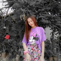 Aie_wp (@wp_aie) 's Twitter Profile