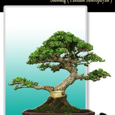 PTam187's profile picture. 