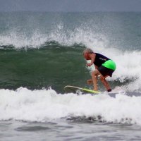 Wayne Clark (@waredbird) 's Twitter Profile