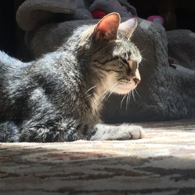 Sketchyart5's profile picture. 