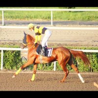 Memet Açıkgöz (@memetse54362276) 's Twitter Profile