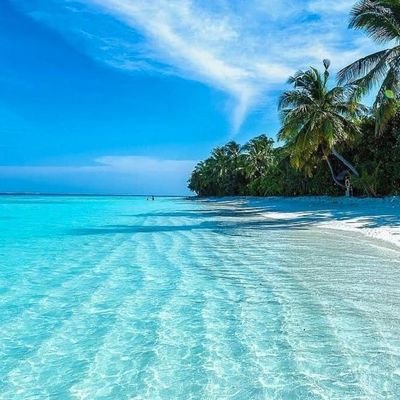 TY2464450713's profile picture. スクフェス、モンスト、スクスタ。
ちょっとした時間にやりたいゲームをやっています。
おすすめあったら教えてください(｀・ω・´)

趣味でAndroid集めてます(^-^)
使用端末→
メイン : HUAWEI P20 lite
ゲーム用 : GALAXY S9+