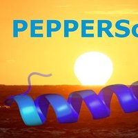 PEPPERSchool 2021 (@pepperschool2) 's Twitter Profile