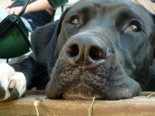 Hi_ImLaural's profile picture. 