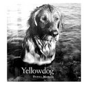 Debra Marlin - @Yellowdogdebby - Twitter