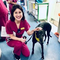 Josephine Morris (@josephineannmo) 's Twitter Profile