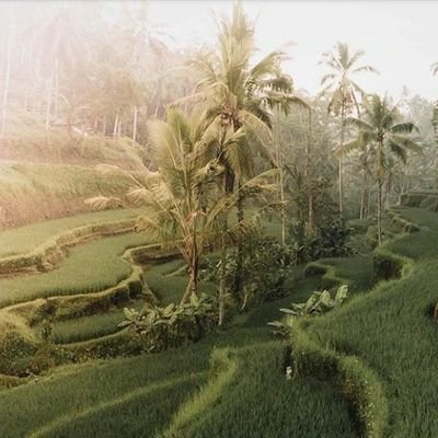 nafeesah_sadeeq's profile picture. 