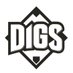 Pitcher DIGS (@DigsPitcher) Twitter profile photo
