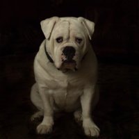 Sue Waterman (@sue_f_waterman) 's Twitter Profile