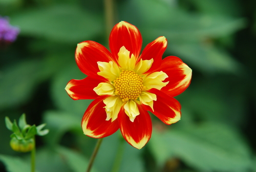 monitie's profile picture. 