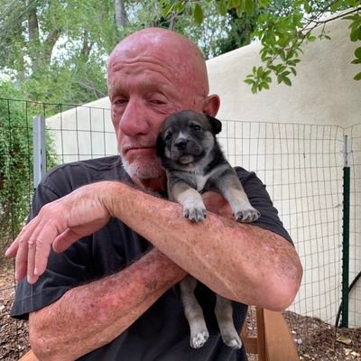 Breaking1984's profile picture. 一个纯粹的人。