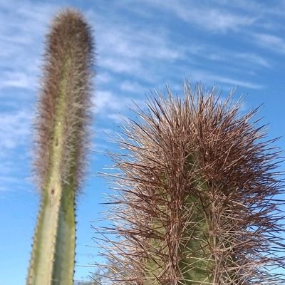 Jos84106547's profile picture. 