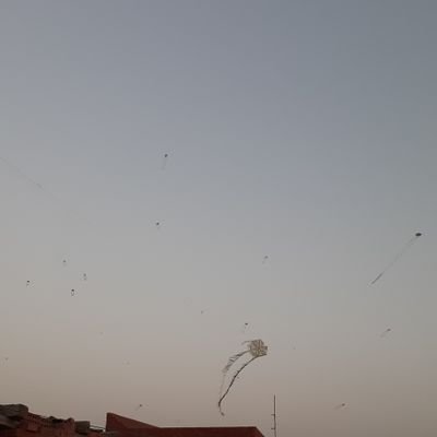 RQlOppQoGW5mOqH's profile picture. 