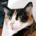 MIA (@mamamiadekat) Twitter profile photo