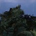 The DayZ Ghillie Sniper (@dayzghillie) Twitter profile photo The DayZ Ghillie Sniper (@dayzghillie) Twitter profile photo