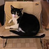 MOT in PT (@davidfr83834521) 's Twitter Profile
