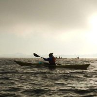 julie king (@julesmking) 's Twitter Profile