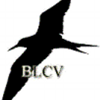 Bedfont Lakes Vols (@bedfontlakesvol) 's Twitter Profile