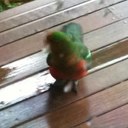 PHIL STRICKLAND - @curtley666 - Twitter