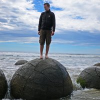 Neil Carey (@neiloscarey) 's Twitter Profile Photo Neil Carey (@neiloscarey) 's Twitter Profile Photo