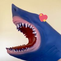 Barry The Shark 🦈 (@barrytheshark1) 's Twitter Profile