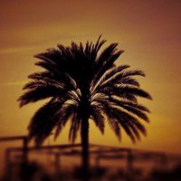 سعود (@ss125r) 's Twitter Profile