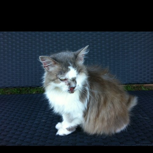 riamarea's profile picture. enjoying life