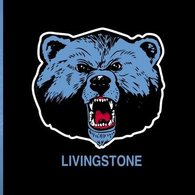 BlueBearsCCTF Profile Picture