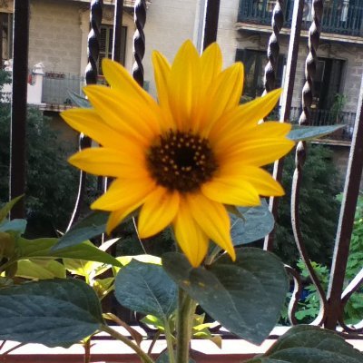 fra_nc_ee's profile picture. 