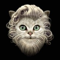 Bearded Cat-san(@BeardedCat2) 's Twitter Profile Photo