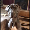 Pierce McFarland - @PierceMac_52 - Twitter