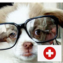 jeanniezee's profile picture. 