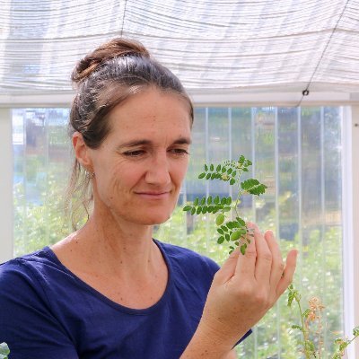 Researcher with CSIRO; crop and forage emergence, establishment and root development.