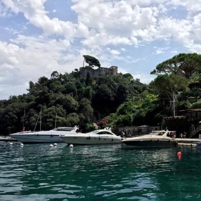 SaraAltowairgi's profile picture. Personal Account