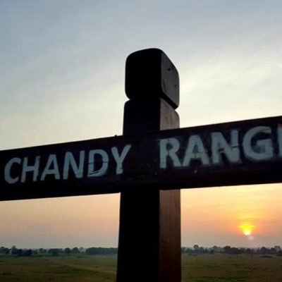 MAYA202016's profile picture. 