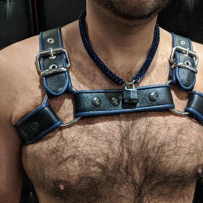 Service-oriented poly/open collared demiboy (he/they)
Retired pup. Leather, hypno, rubber, lycra, D/s, bondage, control, facials, and more!