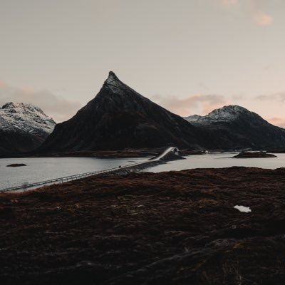 genuinelyks's profile picture. 