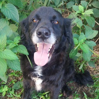 karinacorellaes's profile picture. 