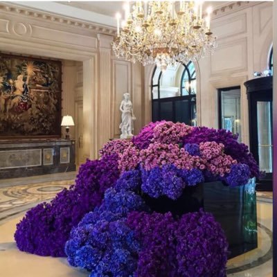 farahsalameh10's profile picture. وكُن ذا أَثر🍃