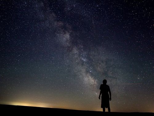 SciCuriosities's profile picture. Scientific facts, feats, videos, pictures, news, and everything that will make you more and more curious about science... which is all around us.