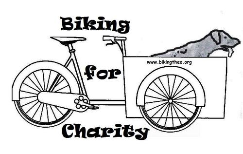 TheoBiking's profile picture. I'm preparing ( and will soon start training....) for my 2000 km charitytour with my bicycle! check out my website to stay up todate!.