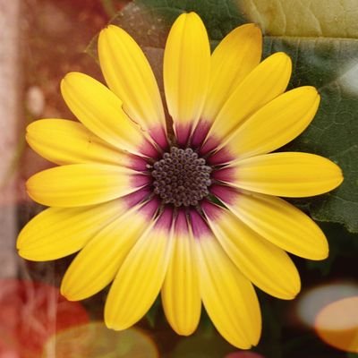 nataliecoder's profile picture. Junior web developer, mum to a two year old