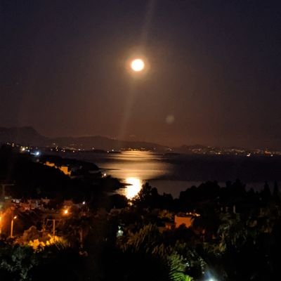 MucepK's profile picture. 