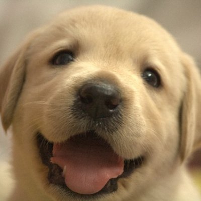 Cryptodata5's profile picture. 