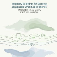 Small-Scale Fishery Guidelines (@ssfguidelines) 's Twitter Profile