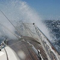 Eline Tibboel (@tibbtweet) 's Twitter Profile