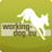 workingdog_eu's profile image