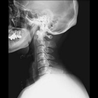 おだぎり～ (@re_zat) 's Twitter Profile Photo