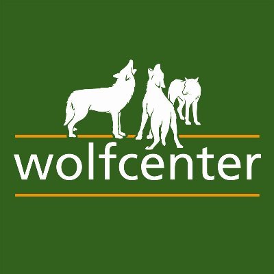 Erlebe die Wölfe - im Wolfcenter in Dörverden bei Bremen!